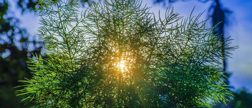 如何借助战役让企业文化有效落地？