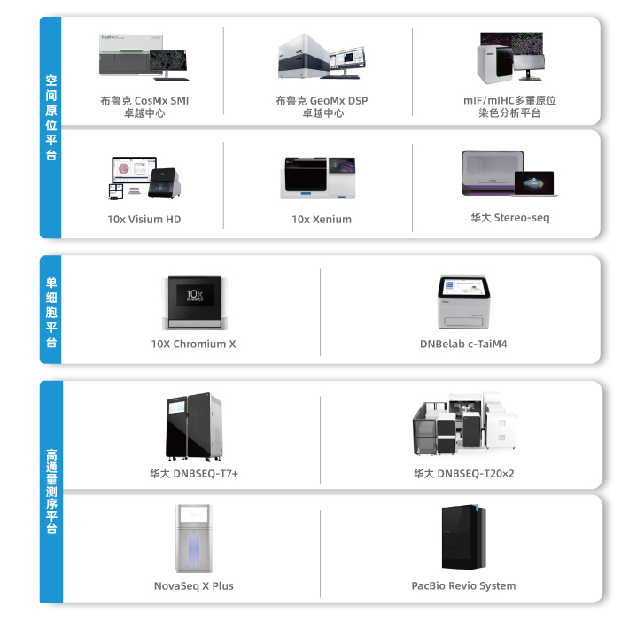 解码时空赋能，助您攀登科研高峰