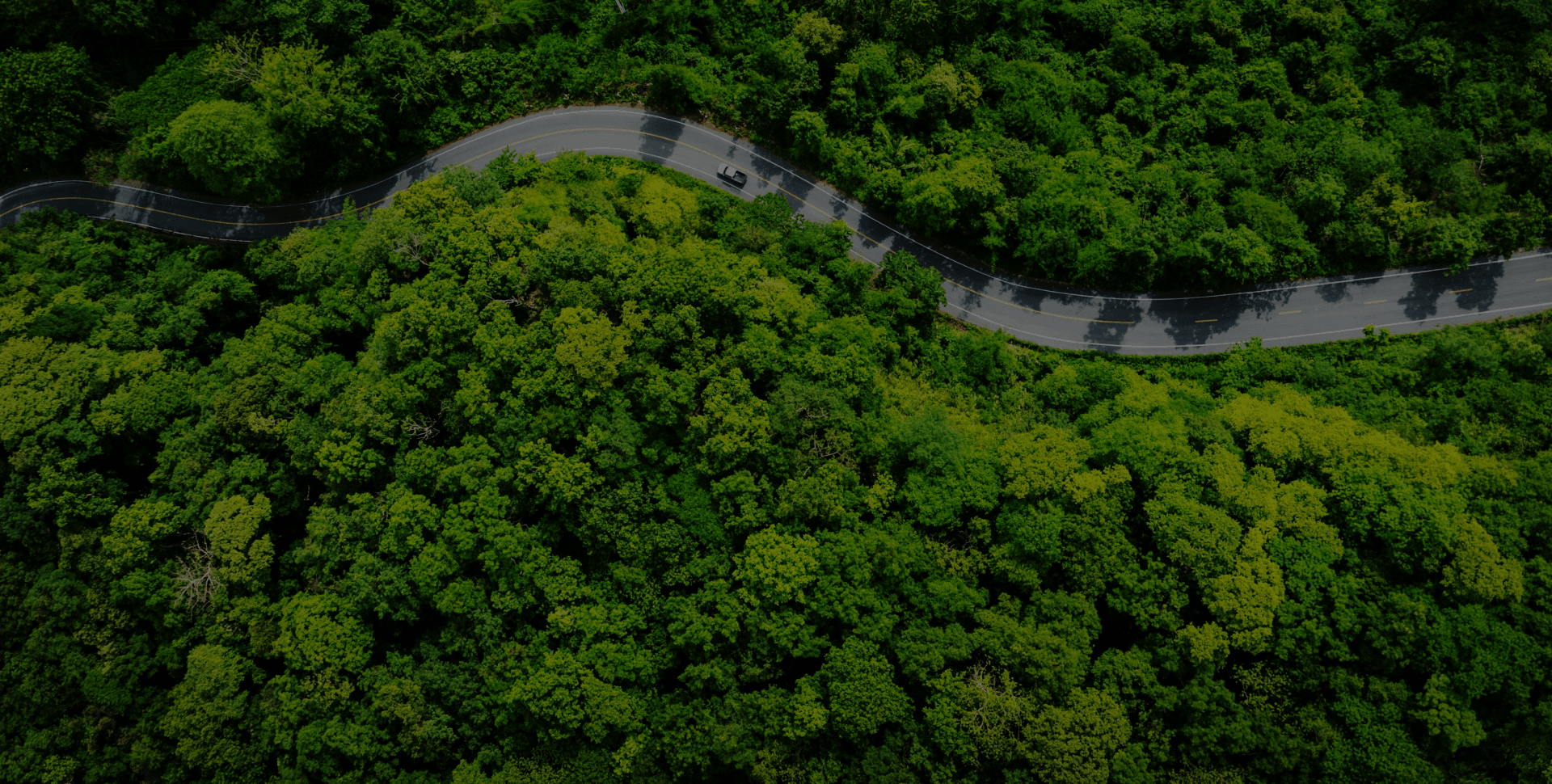 推动防伪产业的绿色升级