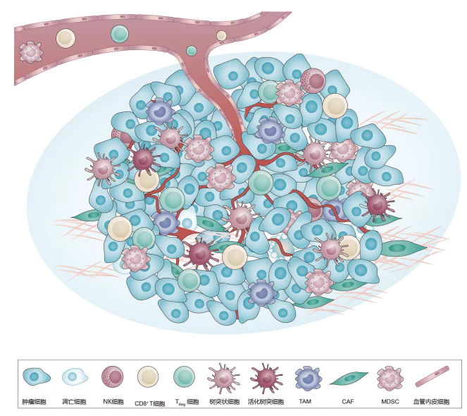 Multiplex Immunofluorescence(mIF) Kit