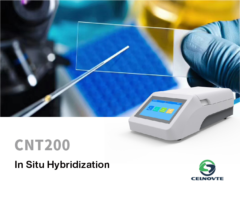 CNT200 In Situ Hybridization