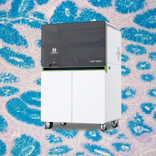 HISTOLOGY