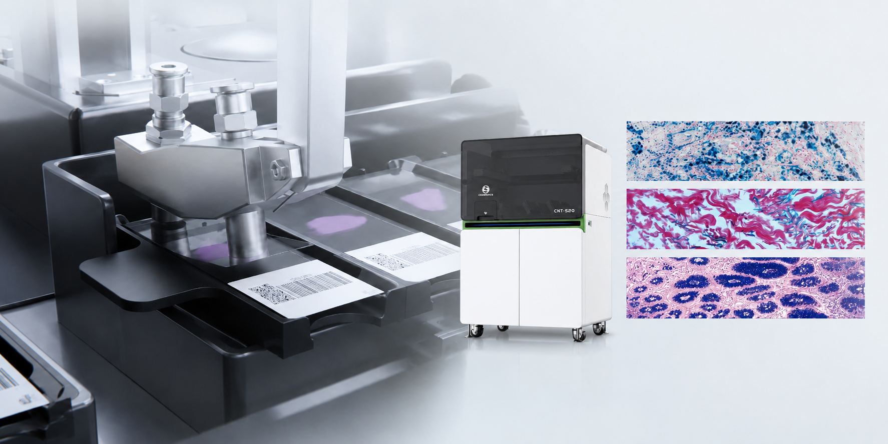Complete Solutions for Fully Automated Special Staining