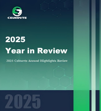 2025 Annual Review