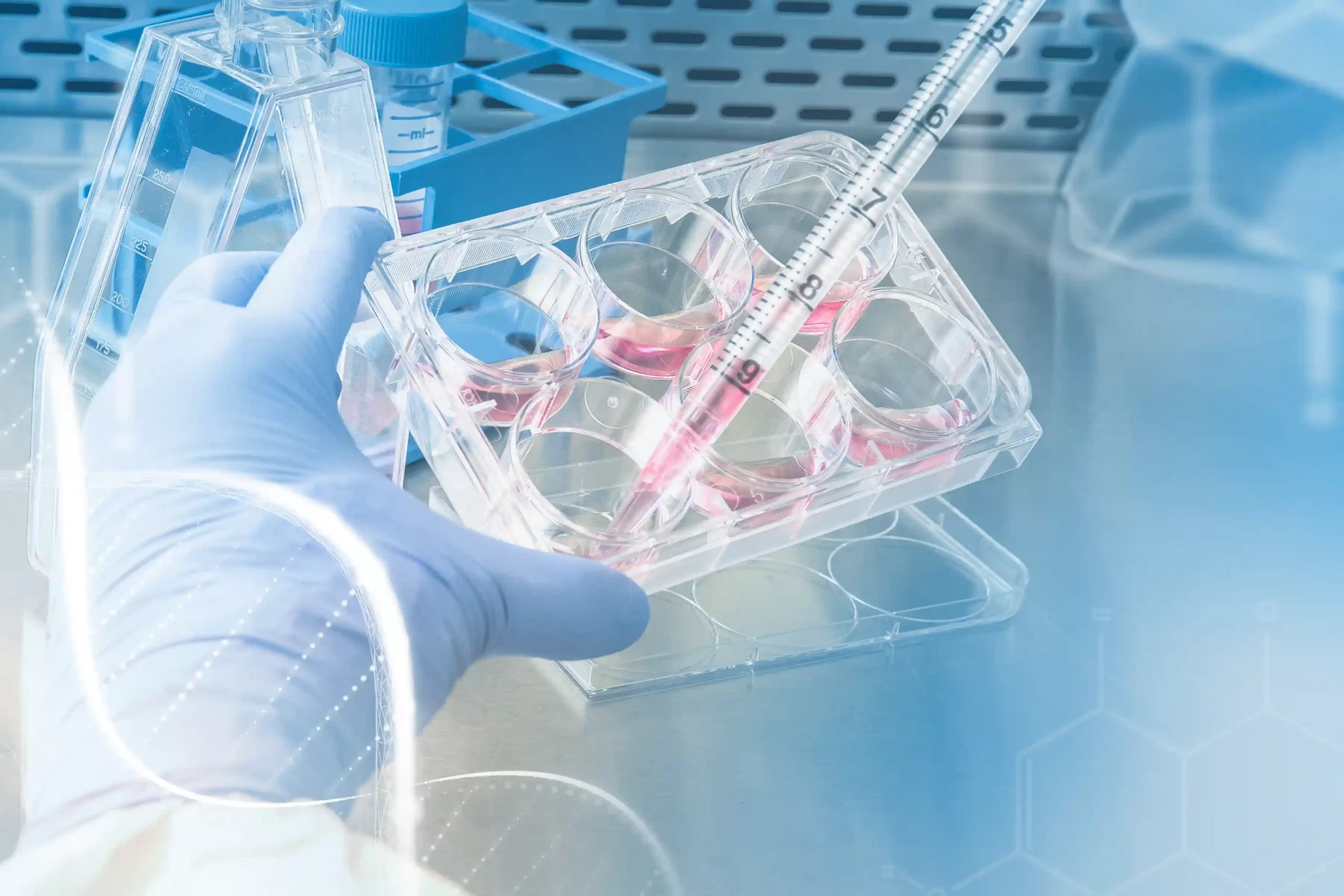 How to Troubleshoot Background Staining: Primary Antibody Titration & Washing Tricks
