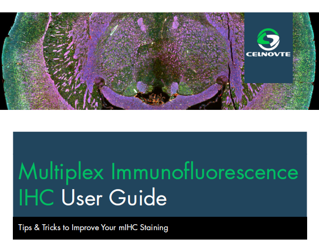 User Guide