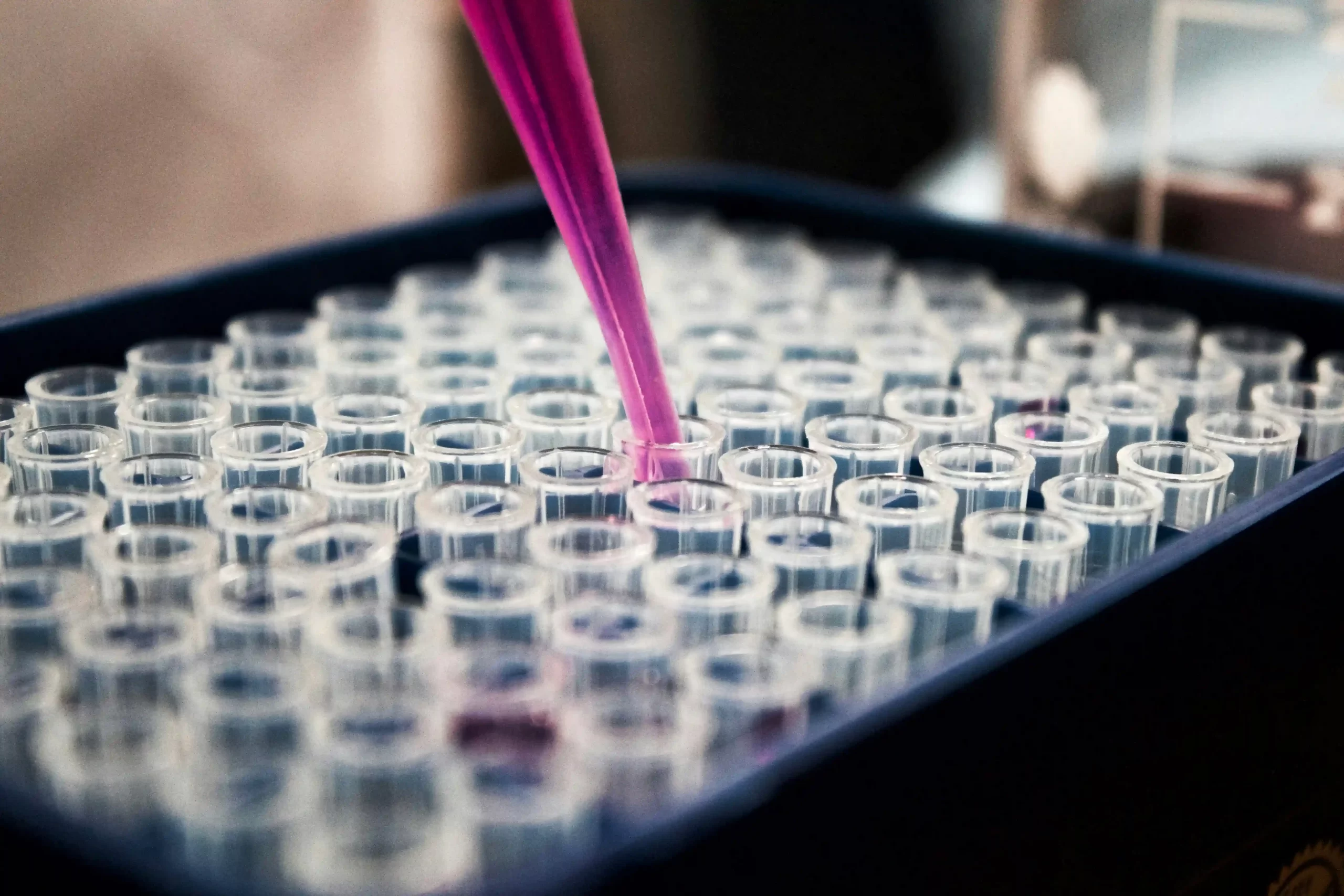 The Role of Freezer Types in Primary Antibody Preservation for IHC