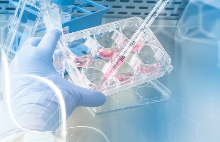 Key Elements That Shape Accuracy in Molecular Diagnostics