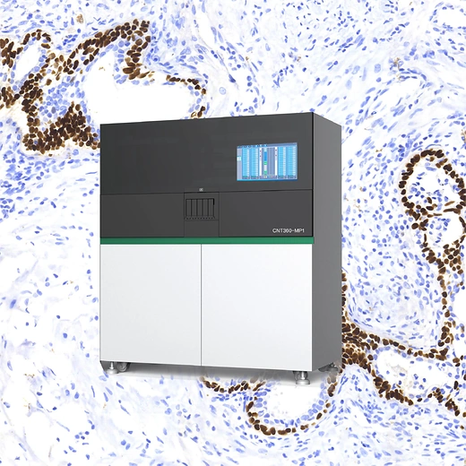 IMMUNOHISTOCHEMISTRY