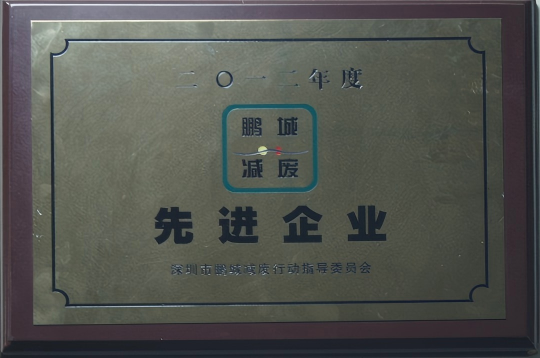Advanced Enterprise in Waste Reduction in Pengcheng, 2012