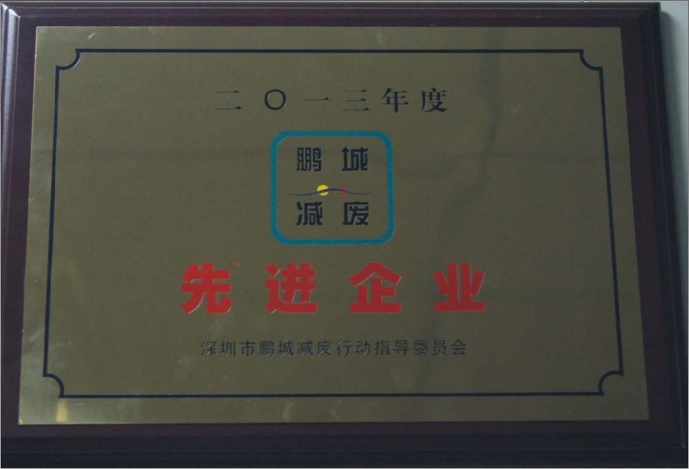 Advanced Waste Reduction Enterprise in Pengcheng, 2013